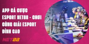 App Cá Cược Esport Net88 - Chơi Cùng Giải Esport Đỉnh Cao